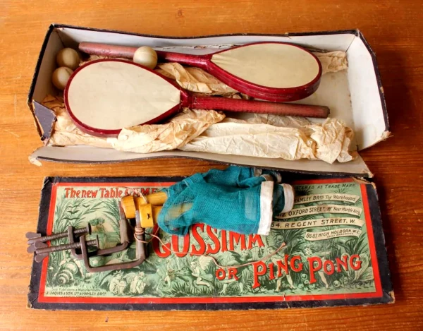 gossima ping pong set