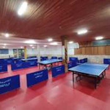 آکادمی تنیس روی میز ارم