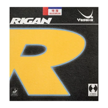 رویه یاساکا ریگان