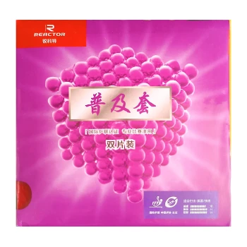 رویه راکت ری اکتور کوربور جفتی