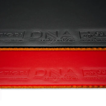 رویه استیگا DNA دراگون گریب