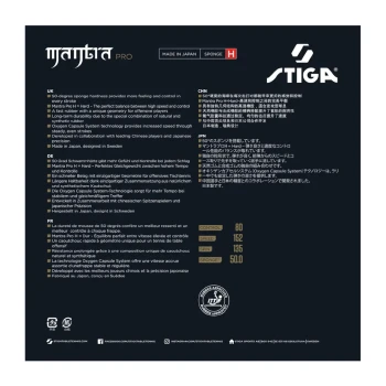 رویه مانترا پرو H