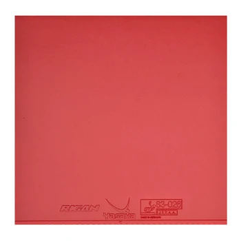 رویه یاساکا ریگان