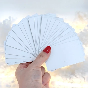 پک داوری تنیس روی میز باترفلای